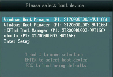 A typical EFI boot manager display is very
    rudimentary.